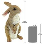Design Toscano QM200681 Hopper the Bunny Standing Rabbit Indoor/Outdoor Garden Statue, 6 Inches Wide, 11 Inches Tall, Handcast Polyresin, Full Color Finish