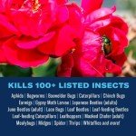 BioAdvanced Rose and Flower Insect Killer, Ready-to-Use, 24 oz