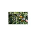 DEWALT Dewalt 20V MAX Cordless Pruner (DCPR320D1)