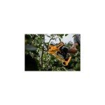 DEWALT Dewalt 20V MAX Cordless Pruner (DCPR320D1)