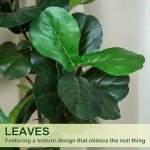 VIVATREES 6FT Fiddle Leaf Fig Artificial Tree with White Planter Pot,Faux Floor Plant, Indoor and Outdoor Fake Plants for Home Office Decor