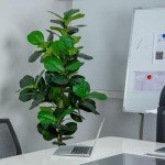 VIVATREES 6FT Fiddle Leaf Fig Artificial Tree with White Planter Pot,Faux Floor Plant, Indoor and Outdoor Fake Plants for Home Office Decor