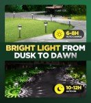 10 Pack Ultra Bright Solar Lights Outdoor Waterproof, from Dusk to Dawn Up to 12H Solar Lights for Outside, Auto On/Off Solar Powered Garden Pathway Lights, Landscape Lighting (Cold White, 10Pack)