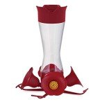 Perky-Pet 203CPBN-2 Pinch-Waist Glass Hummingbird Feeder with Perches, Built-in Ant Moat and Bee Guards - Outdoor Garden Décor - 2 Pack