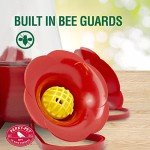 Perky-Pet 203CPBN-2 Pinch-Waist Glass Hummingbird Feeder with Perches, Built-in Ant Moat and Bee Guards - Outdoor Garden Décor - 2 Pack