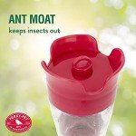 Perky-Pet 203CPBN-2 Pinch-Waist Glass Hummingbird Feeder with Perches, Built-in Ant Moat and Bee Guards - Outdoor Garden Décor - 2 Pack