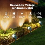 Holeva Low Voltage Landscape Lighting: 10W 1000LM LED Landscape Lights Outdoor 2700K Warm White Spotlights with IP67 Waterproof for Yard Garden | 6 Pack of 12V/24V Low Voltage Lights with Connectors
