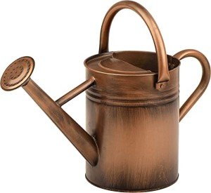 SunnyTong Metal Watering Can for Outdoor and Indoor Plants, Watering Can Decor, 1 Gallon (1 Gallon Copper)