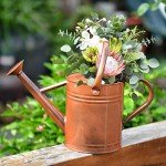 SunnyTong Metal Watering Can for Outdoor and Indoor Plants, Watering Can Decor, 1 Gallon (1 Gallon Copper)