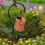 SunnyTong Metal Watering Can for Outdoor and Indoor Plants, Watering Can Decor, 1 Gallon (1 Gallon Copper)