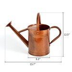 SunnyTong Metal Watering Can for Outdoor and Indoor Plants, Watering Can Decor, 1 Gallon (1 Gallon Copper)