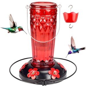 Hummingbird Feeder-16 Ounces,6 Feeding Ports Glass Hummingbird feeders for Outdoors,Wide Mouth for Easy Filling/Cleaning,Hanging for Garden Backyard Decor, Includes Ant Moat (Red)