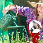 Megawodar 1 Gallon Metal Watering Can with Removable Spout, Nice Galvanized Steel Water Can with Embossed Design for Indoor and Outdoor Plants