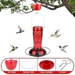 Hummingbird Feeder-16 Ounces，6 Feeding Ports Glass Hummingbird feeders for Outdoors,Wide Mouth for Easy Filling/Cleaning，Hanging for Garden Backyard Decor, Includes Ant Moat (Red)
