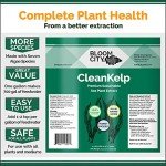 Bloom City Organic Liquid Seaweed and Kelp Fertilizer Supplement, Quart (32 oz) Concentrated Makes 180 Gallons