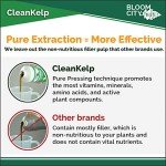 Bloom City Organic Liquid Seaweed and Kelp Fertilizer Supplement, Quart (32 oz) Concentrated Makes 180 Gallons
