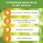 Garden State Bulb Nikko Blue Hydrangea Shrub, Bare Root, Spring Planting (Bag of 1)