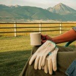 Wells Lamont Women's Water-Resistant Leather Work Gloves | Puncture Resistant, Reinforced, HydraHyde | Medium (1167M), Tan