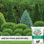 GreenView Multi-Purpose Fertilizer, 33 lb. Bag - NPK 10-10-10