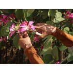 HANDLANDY Long Gardening Gloves for Men & Women, Cowhide Leather Rose Pruning Gloves- Breathable & Durable Gauntlet Gloves (Large, Brown)