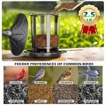 Birdream 2 Pack Bird Feeders for Outdoor Hanging, Classic Castle Design Fun Assembly Squirrel Proof Bird Feeders, Attracting Wild Birds Cardinals Goldfinches Chickadees Finches Sparrows