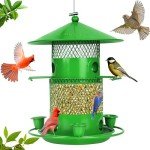 Toaocrs Bird Feeder, Bird feeders for Outdoors for Bird Lovers, Large Capacity Design, Cardinal Bird Feeder, Wild Bird feeders(Green, 3LB)