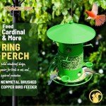 Toaocrs Bird Feeder, Bird feeders for Outdoors for Bird Lovers, Large Capacity Design, Cardinal Bird Feeder, Wild Bird feeders(Green, 3LB)