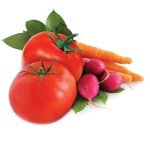 Jobe’s Organics Garden Fertilizer Spikes, Easy Plant Care Fertilizer for Vegetable Gardens and Tomato Plants, 50 Count