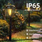 DERAYSION 12 Pack Solar Lights Outdoor, Solar Pathway Lights Auto On/Off Waterproof Garden Landscape Lighting for Path, Yard, Walkway, Driveway