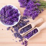 Bonnie Plants Lavender Live Edible Aromatic Herb Plant - 4 Pack, 12 - 14 in. Tall Plant, Baking, Teas, Sugars, Jellies