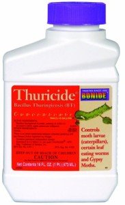 Bonide Thuricide BT Concentrate, 16 oz Ready-to-Mix Solution for Caterpillar, Worm and Moth Control in Home Garden