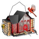 Papettly Bird Feeders for Outdoors Hanging - Metal Bird Feeder with Double Suet Cage- Ideal Birdfeeders Outside Hanging, Weatherproof & Large Capacity for Finch, Cardinal & Chickadee