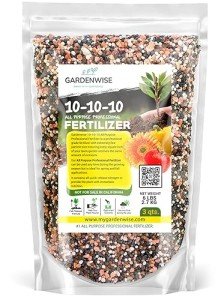 10-10-10 Plant Fertilizer Slow Release – 10 10 10 All Purpose Granular Garden Fertilizer for Fruit Trees, Evergreens, Vegetables, Arborvitae, Fig Trees, Shrubs, Pines, Oaks, Flowers (3 QUARTS)