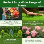10-10-10 Plant Fertilizer Slow Release – 10 10 10 All Purpose Granular Garden Fertilizer for Fruit Trees, Evergreens, Vegetables, Arborvitae, Fig Trees, Shrubs, Pines, Oaks, Flowers (3 QUARTS)