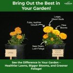 10-10-10 Plant Fertilizer Slow Release – 10 10 10 All Purpose Granular Garden Fertilizer for Fruit Trees, Evergreens, Vegetables, Arborvitae, Fig Trees, Shrubs, Pines, Oaks, Flowers (3 QUARTS)