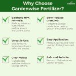 10-10-10 Plant Fertilizer Slow Release – 10 10 10 All Purpose Granular Garden Fertilizer for Fruit Trees, Evergreens, Vegetables, Arborvitae, Fig Trees, Shrubs, Pines, Oaks, Flowers (3 QUARTS)