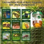 Solar Powered Wasp Trap Outdoor Hanging 4 Pack, Yellow Jackets, Hornets,Mud Daubers, Carpenter Bees Mud Daube Reusable for Garden, Patio, Yard