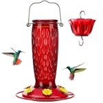 Kingsyard Hummingbird Feeders for Outdoors Hanging, 24 Ounce, Glass Hummingbird Feeder with Ant Moat & 6 Bee Guard Feeding Ports, Leak-Proof, Red