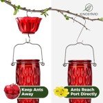 Kingsyard Hummingbird Feeders for Outdoors Hanging, 24 Ounce, Glass Hummingbird Feeder with Ant Moat & 6 Bee Guard Feeding Ports, Leak-Proof, Red