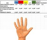 Leather Gardening Gloves by Fir Tree. Premium Goatskin Gloves With Cowhide Suede Gauntlet Sleeves. Perfect Rose Garden Gloves. Men's and Women's Sizes. M-8 (See Size Chart Photo)