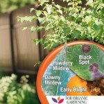 Bonide Captain Jack Copper Fungicide 16 oz Concentrated Plant Disease Control Solution for Organic Gardening