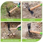 WORKPRO Hoe and Cultivator Garden Rake with 14" Wooden Handle, Sharp Hoe Blade & Sturdy 3 Claw Tiller, 2-in-1 Heavy Duty Gardening Hand Tools for Digging, Loosening Soil, Weeding, Cultivating
