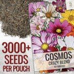 Seed Needs Flower Seeds Cosmos Crazy Blend No Filler 10+ Varieties Cosmos | Cosmo Bipinnatus Open Pollinated Untreated | Resealable Packaging Keeps Seeds Fresh | Bulk Cosmos Flowering Seed Mix