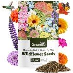 Wildflower Seeds Hummingbird and Butterfly Mix 1 Ounce, No Filler, 24 Varieties Flowers Seeds to Plant Outside, Annual Perennial, Bulk Resealable Package