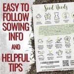 Seed Needs Flower Seeds Cosmos Crazy Blend No Filler 10+ Varieties Cosmos | Cosmo Bipinnatus Open Pollinated Untreated | Resealable Packaging Keeps Seeds Fresh | Bulk Cosmos Flowering Seed Mix