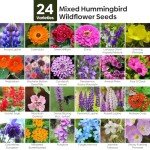 Wildflower Seeds Hummingbird and Butterfly Mix 1 Ounce, No Filler, 24 Varieties Flowers Seeds to Plant Outside, Annual Perennial, Bulk Resealable Package