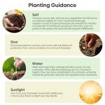 Wildflower Seeds Hummingbird and Butterfly Mix 1 Ounce, No Filler, 24 Varieties Flowers Seeds to Plant Outside, Annual Perennial, Bulk Resealable Package