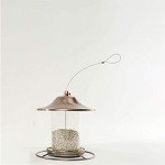 Wagner's 57075 Safflower Seed Wild Bird Food, 5 Pound (Pack of 1)