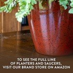 Classic Home and Garden Vogue Planter Pots w/Pottery Quality Finish - Modern Indoor & Outdoor Flower Pots - UV-Resistant Porch Planters - Decorative Pot for Flowers & Herbs (8” Indigo)