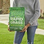 Scotts Turf Builder Rapid Grass Tall Fescue Mix, Combination Seed and Fertilizer, Grows Green Grass in Just Weeks, 5.6 lbs.